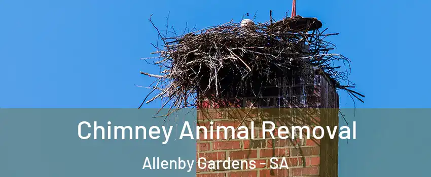 Chimney Animal Removal Allenby Gardens - SA