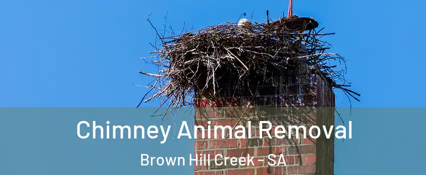 Chimney Animal Removal Brown Hill Creek - SA