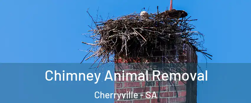 Chimney Animal Removal Cherryville - SA