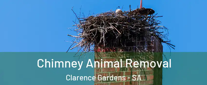 Chimney Animal Removal Clarence Gardens - SA