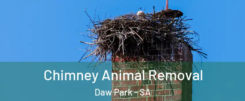  Chimney Animal Removal Daw Park - SA