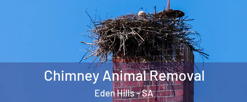Chimney Animal Removal Eden Hills - SA