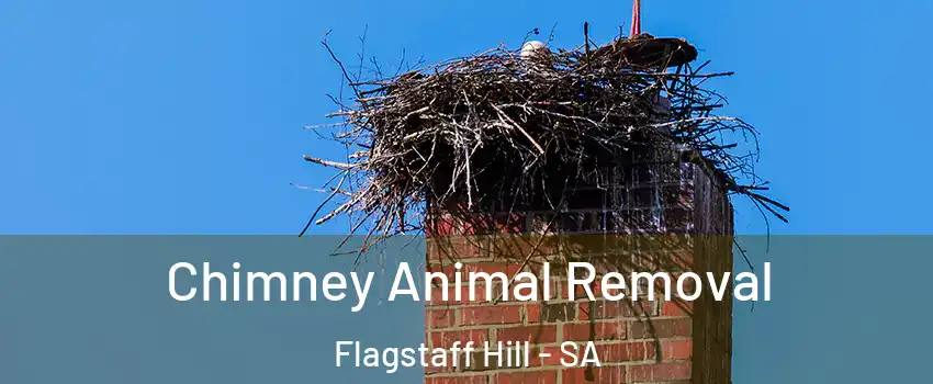 Chimney Animal Removal Flagstaff Hill - SA