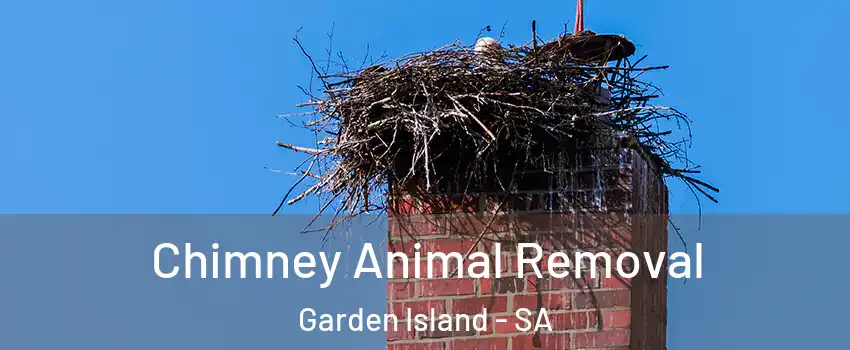 Chimney Animal Removal Garden Island - SA