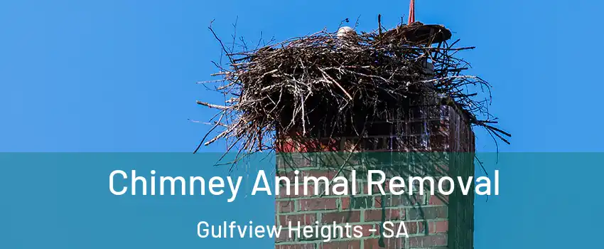 Chimney Animal Removal Gulfview Heights - SA