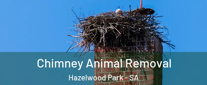 Chimney Animal Removal Hazelwood Park - SA