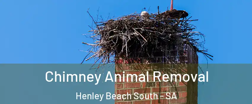 Chimney Animal Removal Henley Beach South - SA