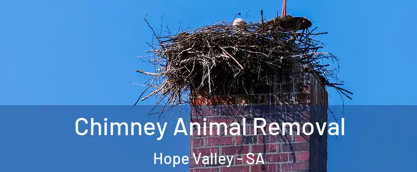 Chimney Animal Removal Hope Valley - SA