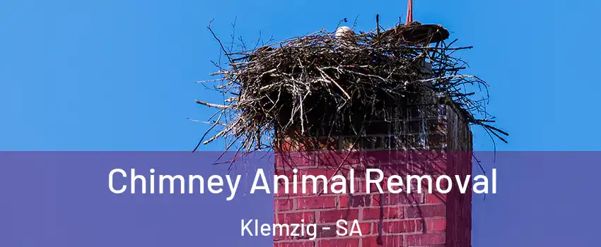  Chimney Animal Removal Klemzig - SA