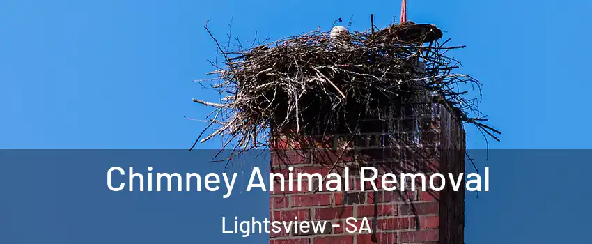  Chimney Animal Removal Lightsview - SA