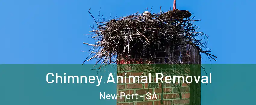  Chimney Animal Removal New Port - SA