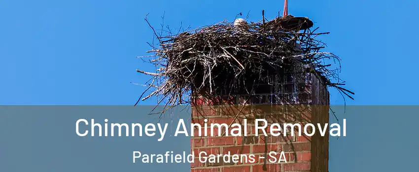  Chimney Animal Removal Parafield Gardens - SA