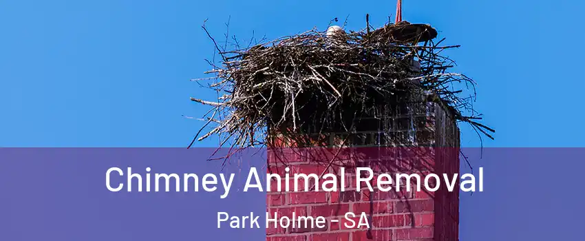  Chimney Animal Removal Park Holme - SA