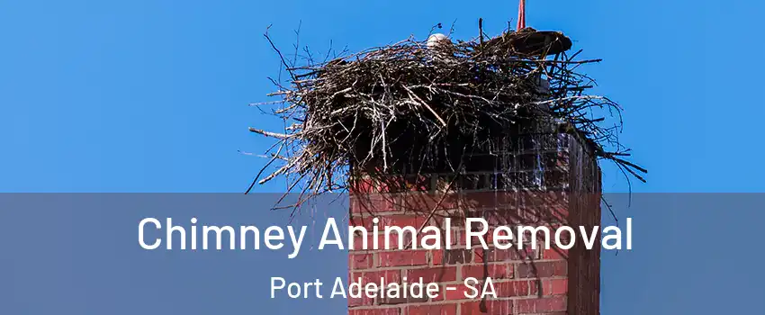  Chimney Animal Removal Port Adelaide - SA