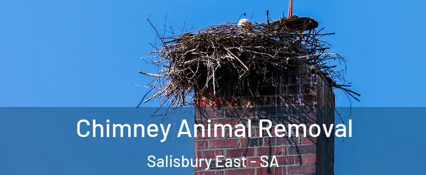  Chimney Animal Removal Salisbury East - SA