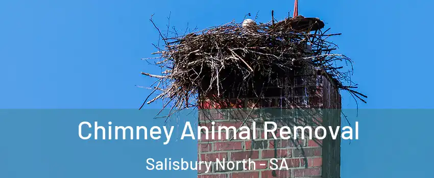  Chimney Animal Removal Salisbury North - SA