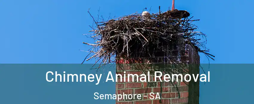  Chimney Animal Removal Semaphore - SA