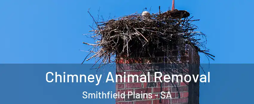Chimney Animal Removal Smithfield Plains - SA