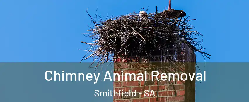  Chimney Animal Removal Smithfield - SA