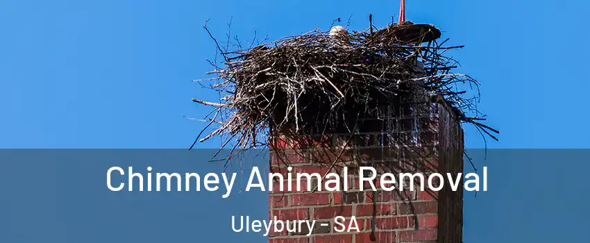  Chimney Animal Removal Uleybury - SA