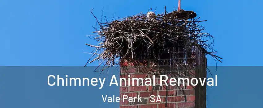  Chimney Animal Removal Vale Park - SA