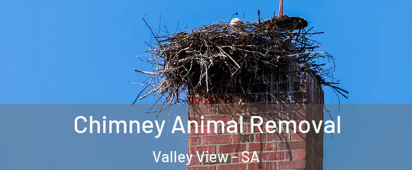  Chimney Animal Removal Valley View - SA