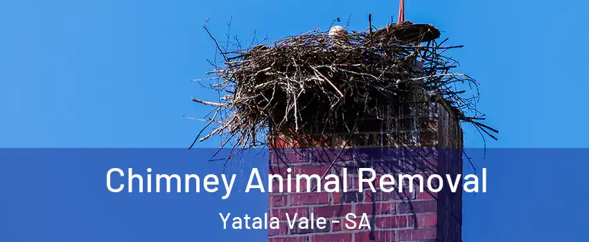  Chimney Animal Removal Yatala Vale - SA