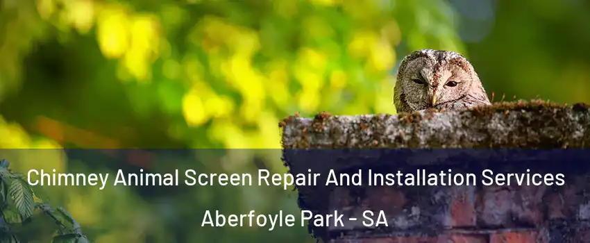 Chimney Animal Screen Repair And Installation Services Aberfoyle Park - SA