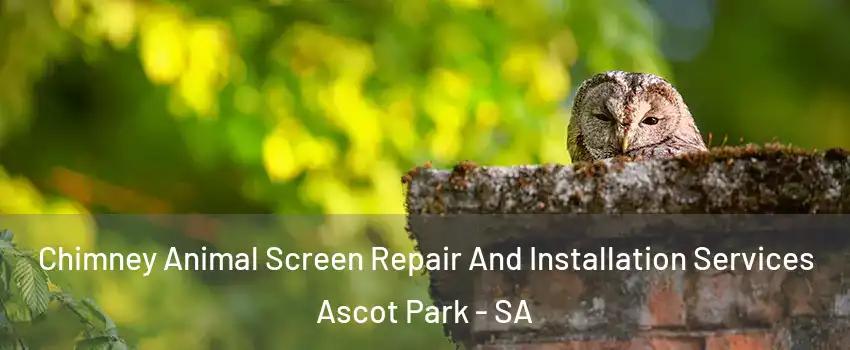 Chimney Animal Screen Repair And Installation Services Ascot Park - SA