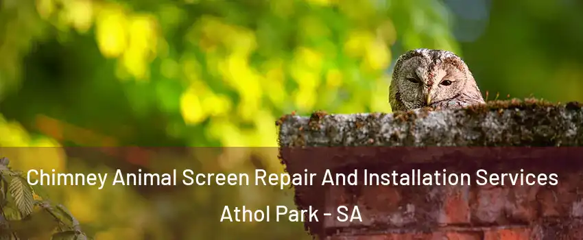 Chimney Animal Screen Repair And Installation Services Athol Park - SA