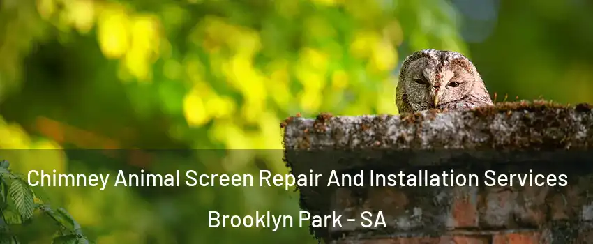 Chimney Animal Screen Repair And Installation Services Brooklyn Park - SA