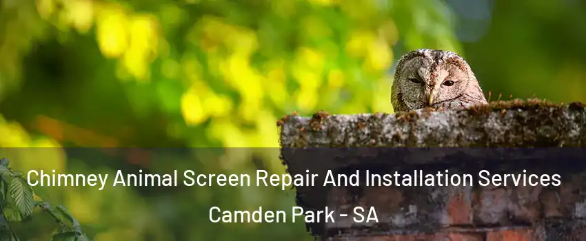 Chimney Animal Screen Repair And Installation Services Camden Park - SA