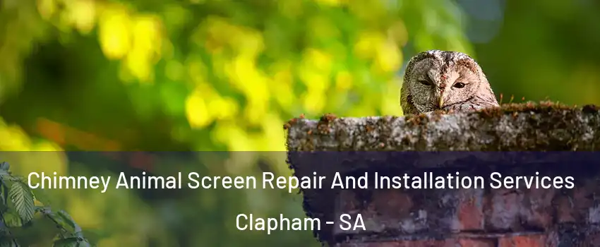  Chimney Animal Screen Repair And Installation Services Clapham - SA