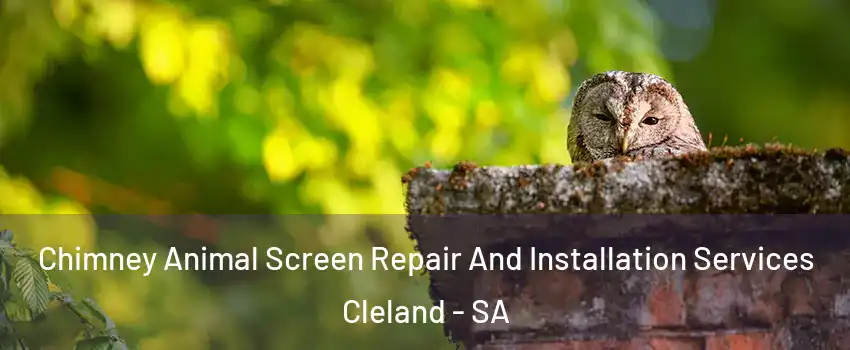Chimney Animal Screen Repair And Installation Services Cleland - SA