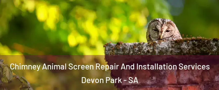 Chimney Animal Screen Repair And Installation Services Devon Park - SA