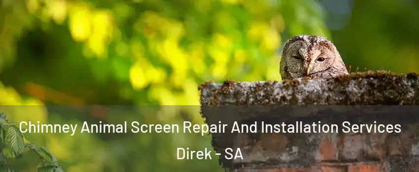 Chimney Animal Screen Repair And Installation Services Direk - SA