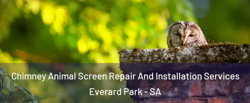 Chimney Animal Screen Repair And Installation Services Everard Park - SA