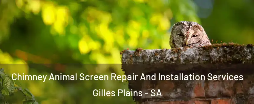 Chimney Animal Screen Repair And Installation Services Gilles Plains - SA