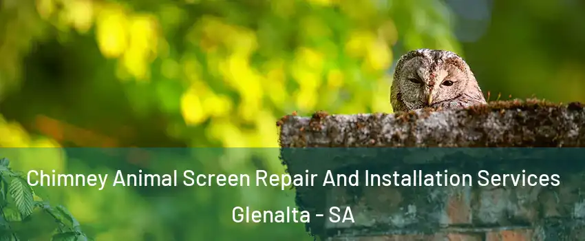 Chimney Animal Screen Repair And Installation Services Glenalta - SA