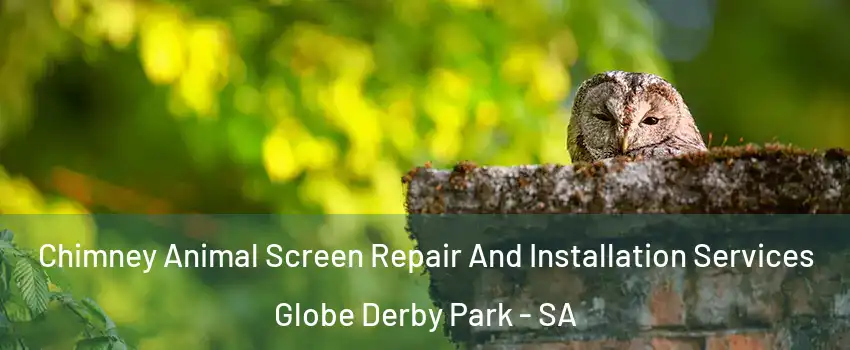 Chimney Animal Screen Repair And Installation Services Globe Derby Park - SA