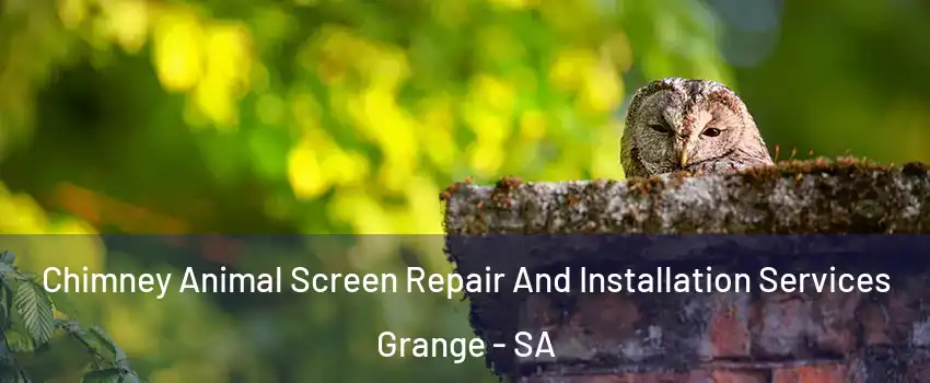 Chimney Animal Screen Repair And Installation Services Grange - SA