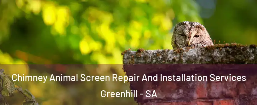 Chimney Animal Screen Repair And Installation Services Greenhill - SA