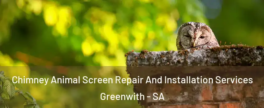 Chimney Animal Screen Repair And Installation Services Greenwith - SA