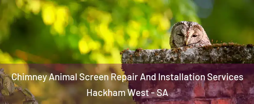 Chimney Animal Screen Repair And Installation Services Hackham West - SA