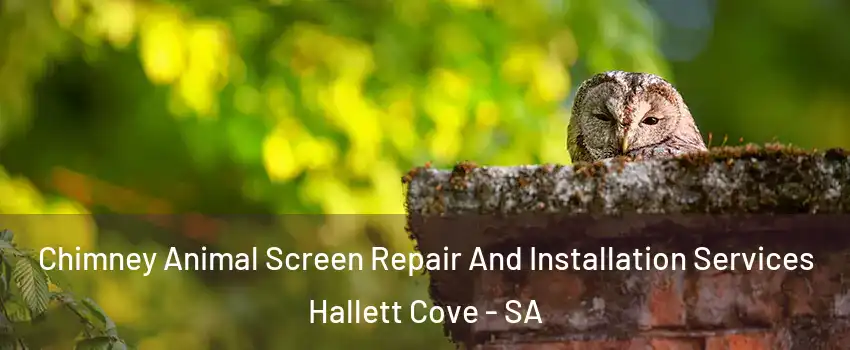 Chimney Animal Screen Repair And Installation Services Hallett Cove - SA
