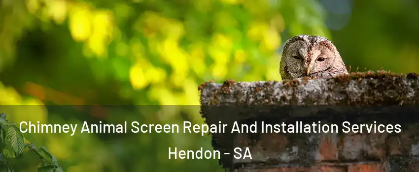 Chimney Animal Screen Repair And Installation Services Hendon - SA