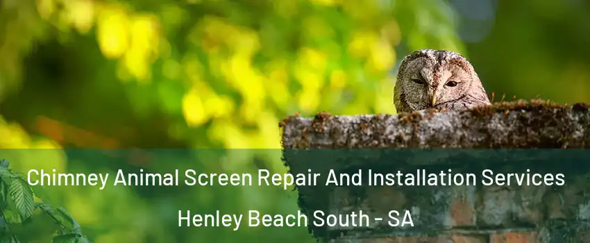 Chimney Animal Screen Repair And Installation Services Henley Beach South - SA