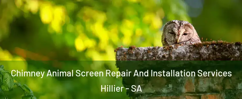 Chimney Animal Screen Repair And Installation Services Hillier - SA