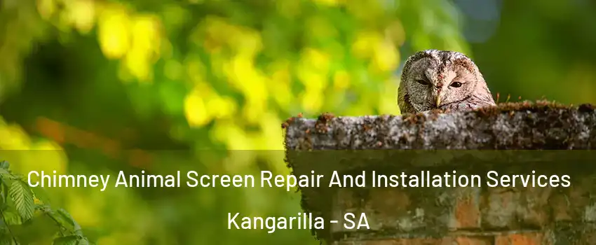  Chimney Animal Screen Repair And Installation Services Kangarilla - SA