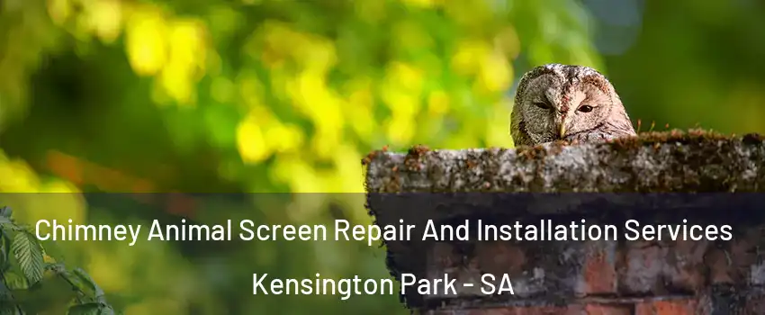Chimney Animal Screen Repair And Installation Services Kensington Park - SA